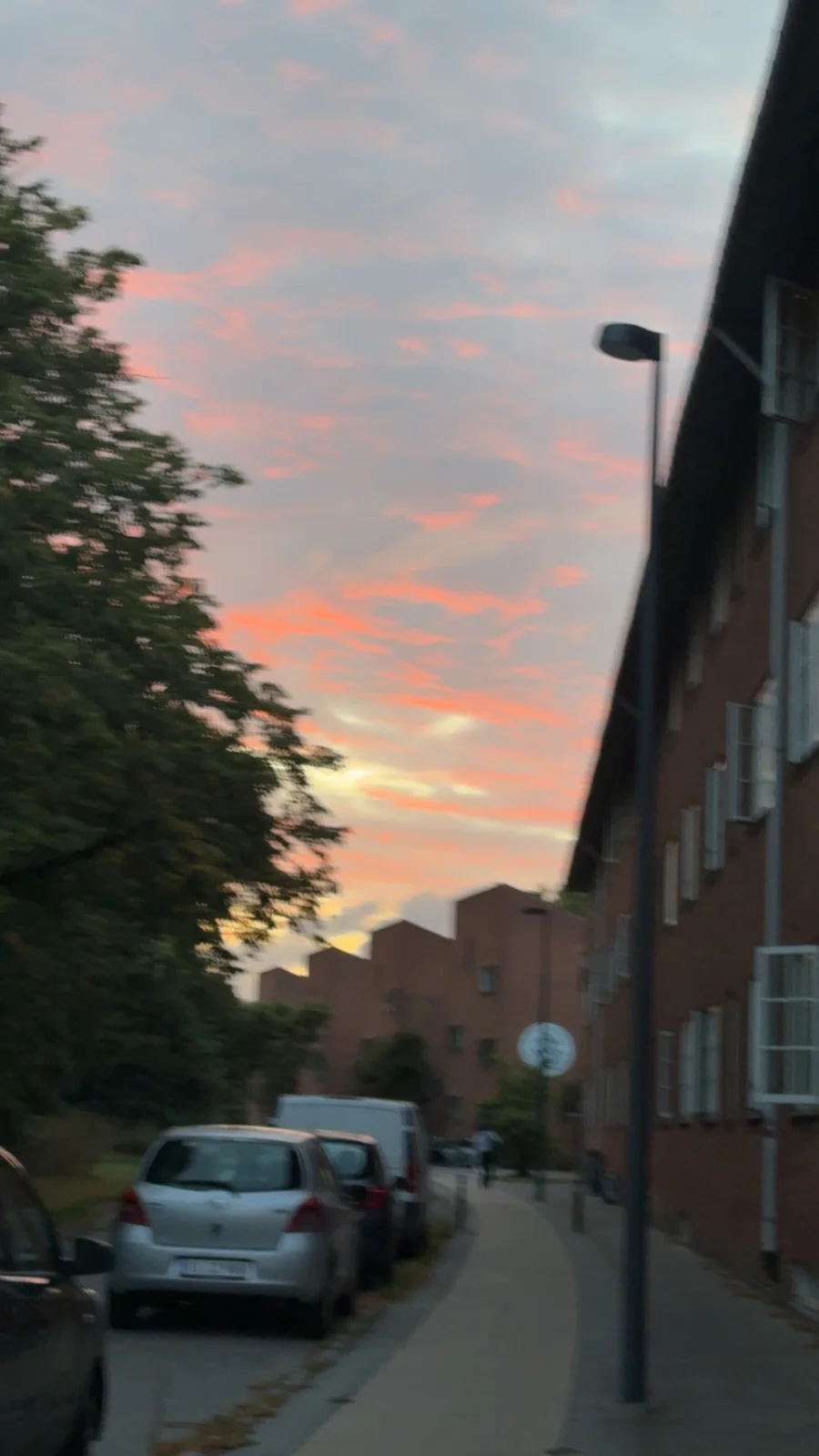 En gade i København under en lyserød aftenhimmel